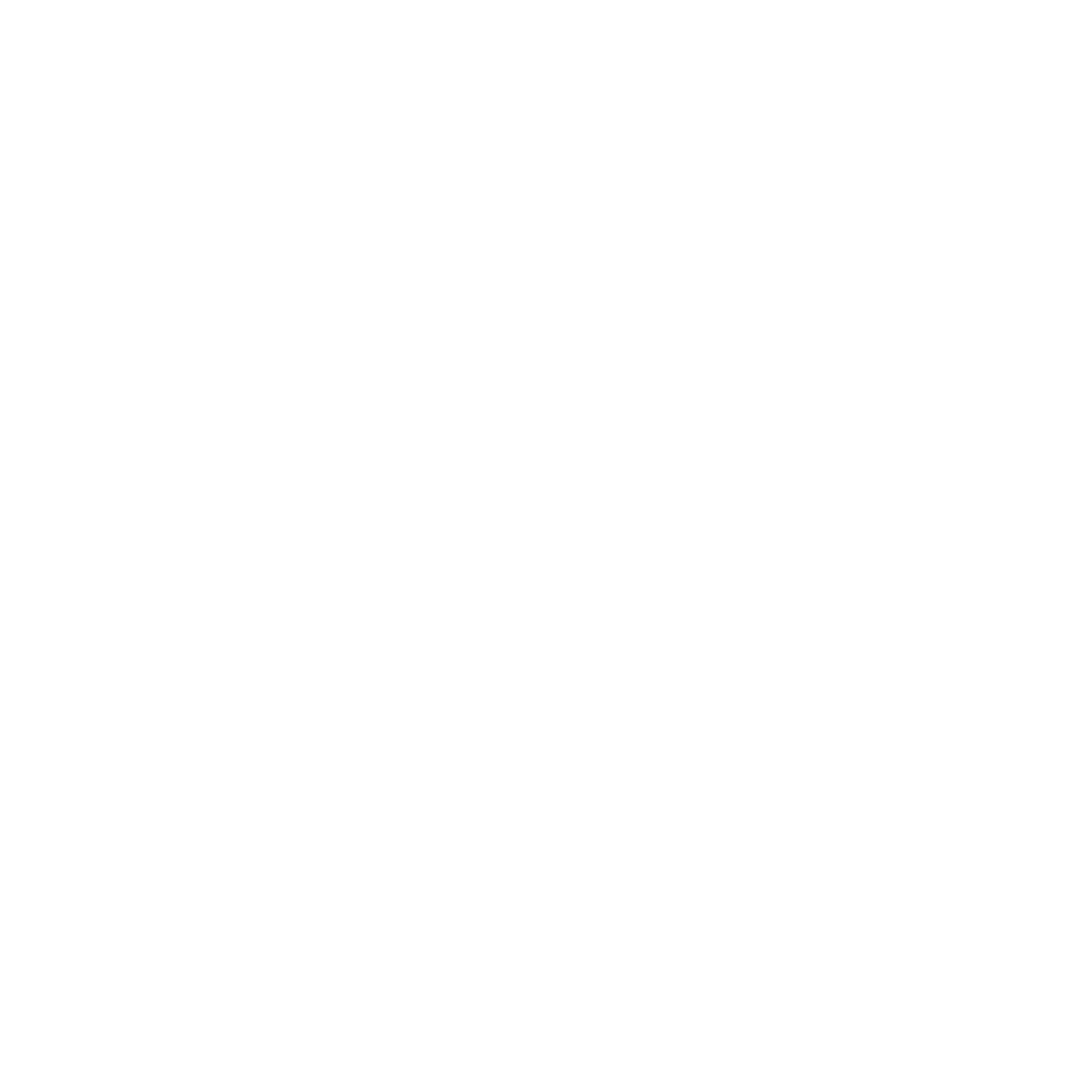 Marta Lanseros Medical Writer
